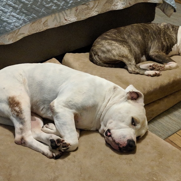 Maria and Sam living the life! - Picture 3 of 7